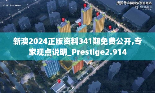 新澳2024正版资料341期免费公开,专家观点说明_Prestige2.914