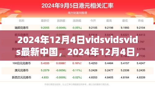 中国追寻Vidsvidsvids之美，心灵与自然的邂逅之旅（2024年12月4日）