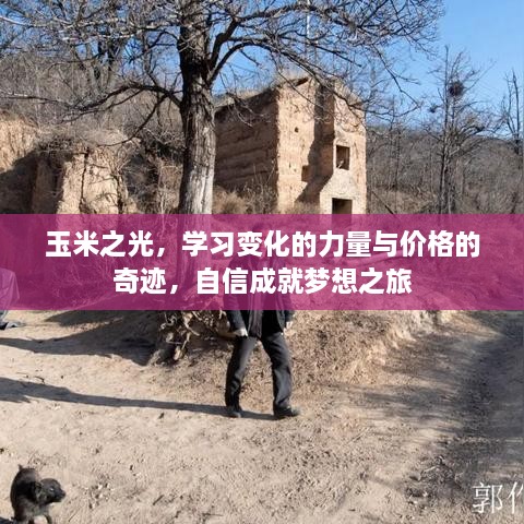 玉米之光，学习力量与价格奇迹，自信成就梦想之旅