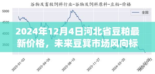 2024年12月5日 第6页