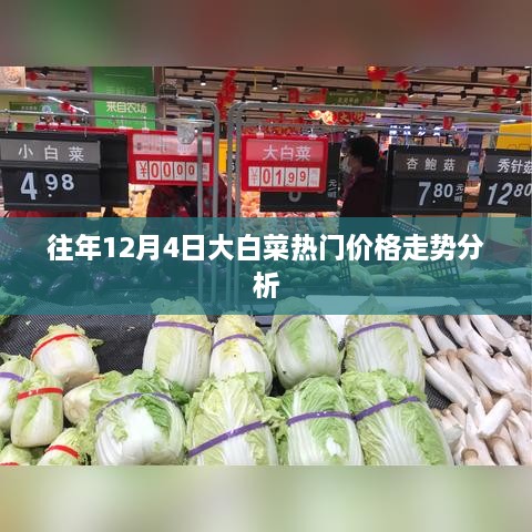 12月4日大白菜热门价格走势解析