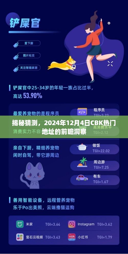 揭秘，前瞻洞察CBK热门地址，预测2024年12月4日的盛况