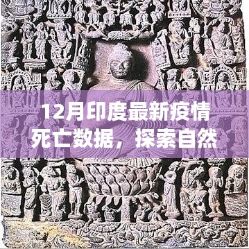 印度疫情下的新生机与宁静之旅，探索自然美景与最新死亡数据解析