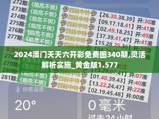 2024澳门天天六开彩免费图340期,灵活解析实施_黄金版1.577