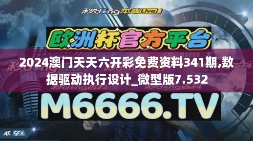 2024澳门天天六开彩免费资料341期,数据驱动执行设计_微型版7.532