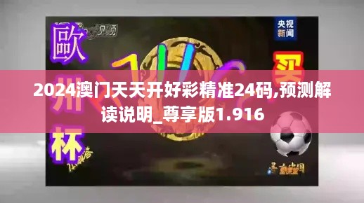 2024澳门天天开好彩精准24码,预测解读说明_尊享版1.916