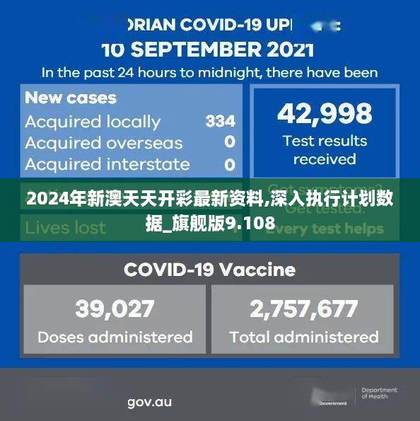 2024年新澳天天开彩最新资料,深入执行计划数据_旗舰版9.108