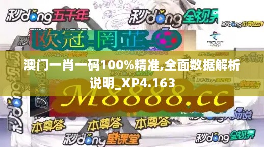 澳门一肖一码100%精准,全面数据解析说明_XP4.163