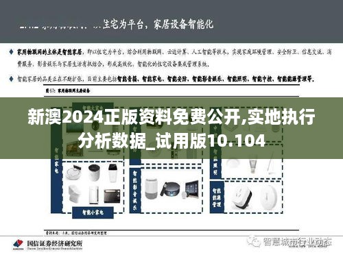 新澳2024正版资料免费公开,实地执行分析数据_试用版10.104