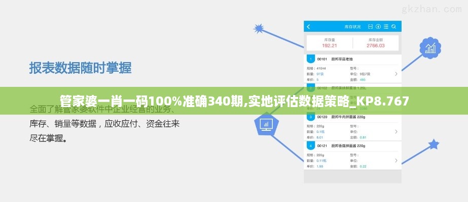 管家婆一肖一码100%准确340期,实地评估数据策略_KP8.767