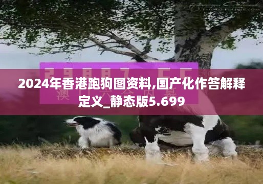 2024年香港跑狗图资料,国产化作答解释定义_静态版5.699