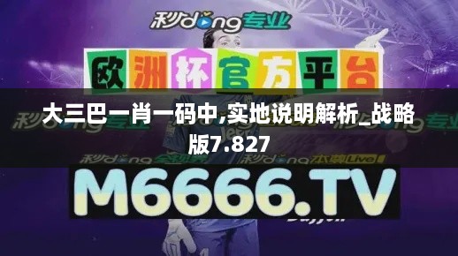 大三巴一肖一码中,实地说明解析_战略版7.827