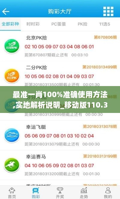 最准一肖100%准确使用方法,实地解析说明_移动版110.353