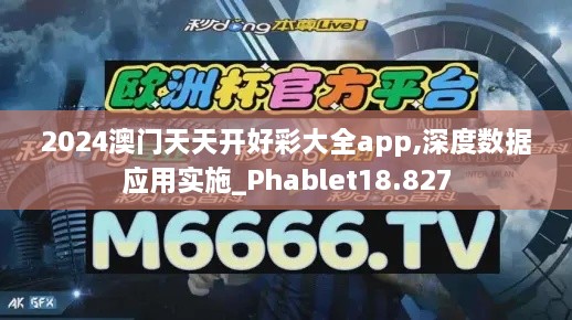 2024澳门天天开好彩大全app,深度数据应用实施_Phablet18.827