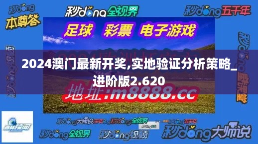 2024澳门最新开奖,实地验证分析策略_进阶版2.620