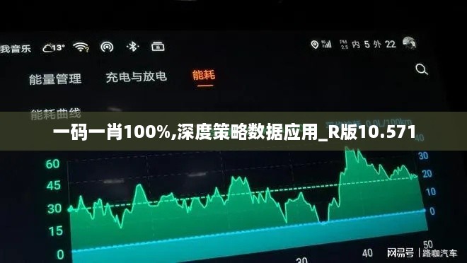 一码一肖100%,深度策略数据应用_R版10.571