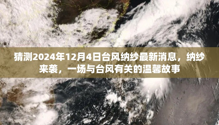 台风纳纱来袭，一则关于风雨中的温馨故事（最新消息预测）