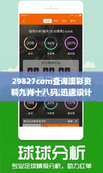 29827cσm查询澳彩资料九肖十八码,迅速设计执行方案_4DM6.791