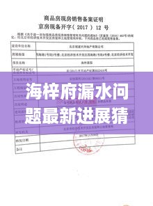 海梓府漏水问题最新进展预测与应对指南（适用于初学者及进阶用户）