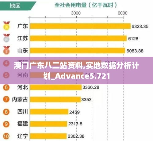 澳门广东八二站资料,实地数据分析计划_Advance5.721