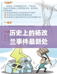 杨改兰事件最新处理进展及其影响深度解析报告