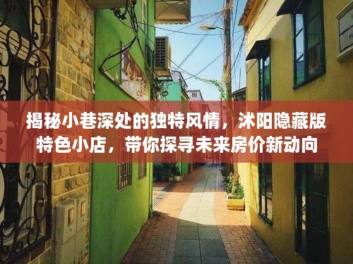 小巷深处的秘密风情，沭阳隐藏版特色小店与未来房价动向探寻