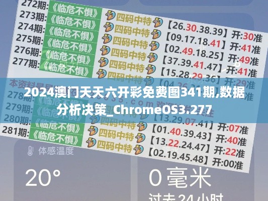 2024年12月6日 第29页