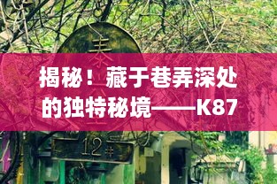 K876巷弄秘境探秘，热门小店深度揭秘之旅