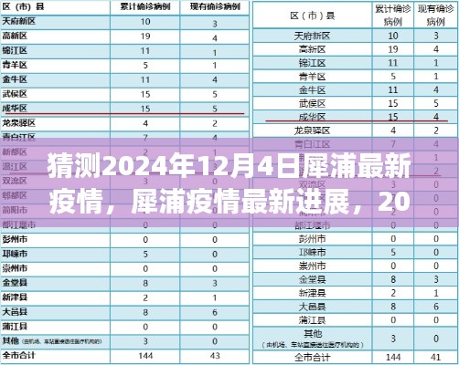 2024年12月4日犀浦疫情最新进展与猜测回顾