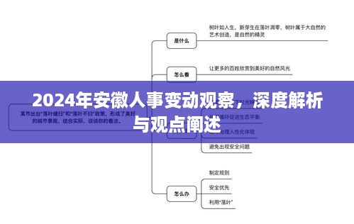 深度观察，2024年安徽人事变动解析与观点阐述