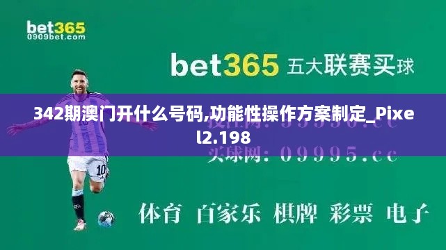 342期澳门开什么号码,功能性操作方案制定_Pixel2.198