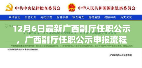 广西副厅级职务公示申报详解，流程、指南及申报任务完成步骤揭秘