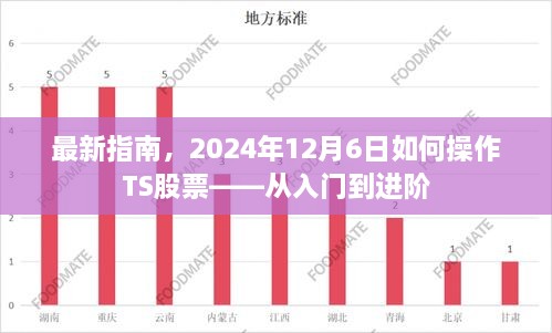 TS股票操作指南，从入门到进阶——2024年12月6日最新教程