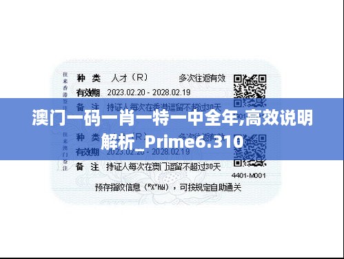 澳门一码一肖一特一中全年,高效说明解析_Prime6.310