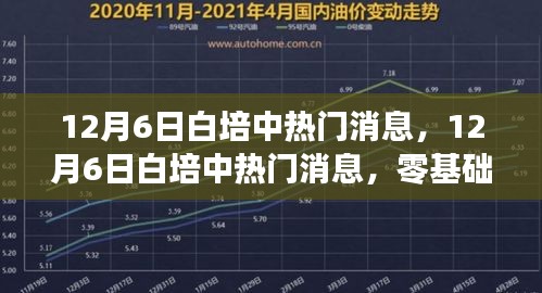 12月6日白培中热门消息解析，零基础入门指南与技能掌握技巧