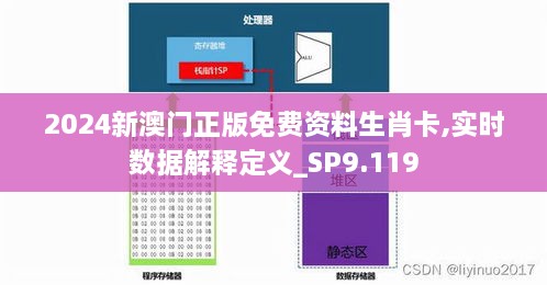 2024新澳门正版免费资料生肖卡,实时数据解释定义_SP9.119