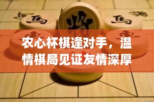 农心杯棋局遇知音，温情对弈见证深厚友情