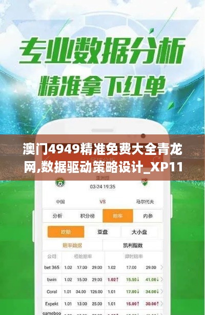 澳门4949精准免费大全青龙网,数据驱动策略设计_XP11.709