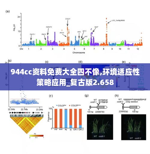 944cc资料免费大全四不像,环境适应性策略应用_复古版2.658