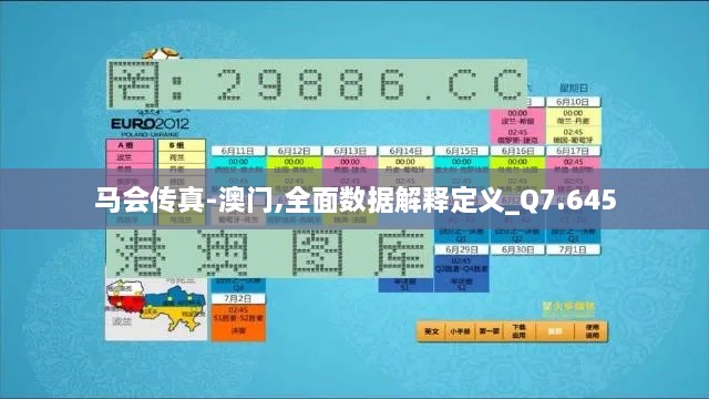 马会传真-澳门,全面数据解释定义_Q7.645