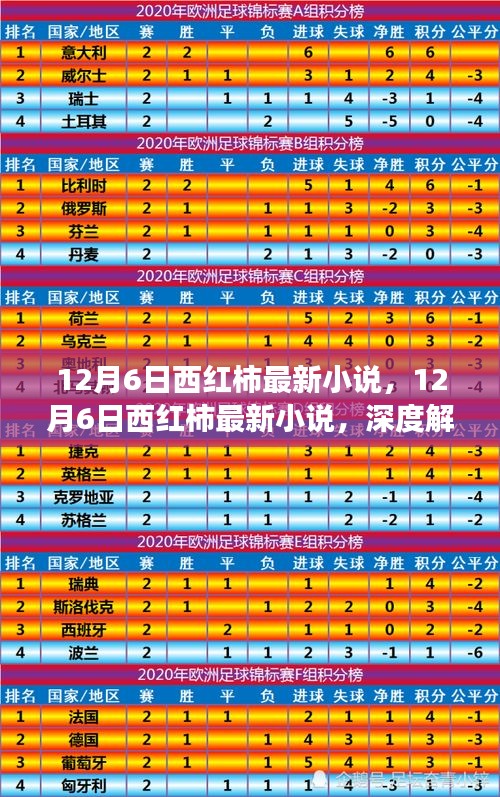 12月6日西红柿最新小说深度解析与观点争议