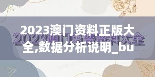 2023澳门资料正版大全,数据分析说明_bundle7.141