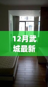 武城最新智能拎包租房系统上线，科技赋能，轻松智能入住