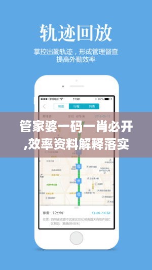 管家婆一码一肖必开,效率资料解释落实_VR5.564