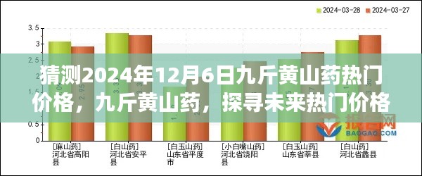 探寻九斤黄山药未来热门价格，预测与故事背后的影响（2024年12月6日）