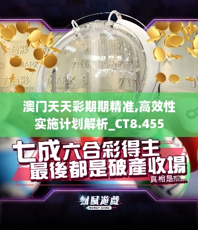 澳门天天彩期期精准,高效性实施计划解析_CT8.455