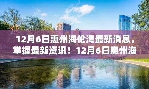 12月6日惠州海伦湾最新消息与动态速递，详尽步骤指南