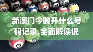 新澳门今晚开什么号码记录,全面解读说明_WP版1.109