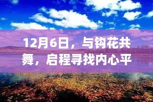 12月6日，舞动钩花之旅，寻找内心平静的绿洲