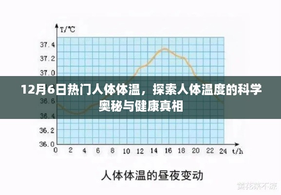 探索人体温度奥秘，揭秘人体体温与健康真相的探寻之旅（12月6日热点）